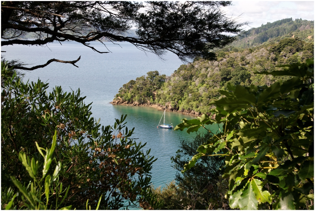 12 - Queen Charlotte  (07).jpg